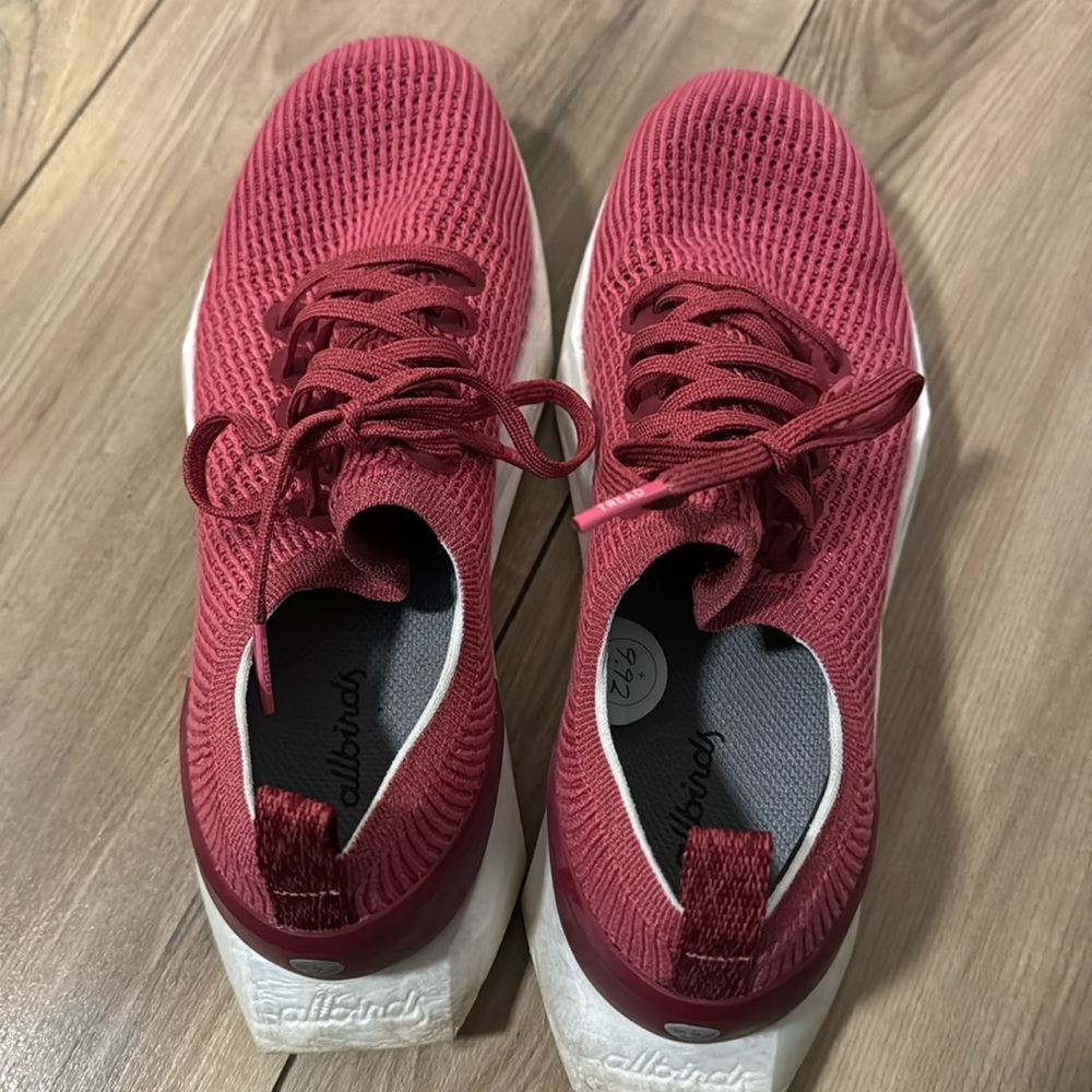 Allbirds Tree Flyers